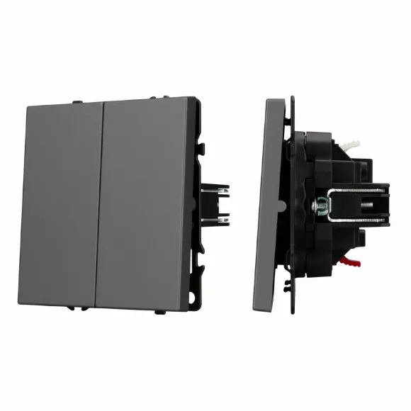 Выключатель 2 кл софт-тач серый базальт Arlight SWT-MK02-SFPL-GR (250V, 10A) 054254(1)