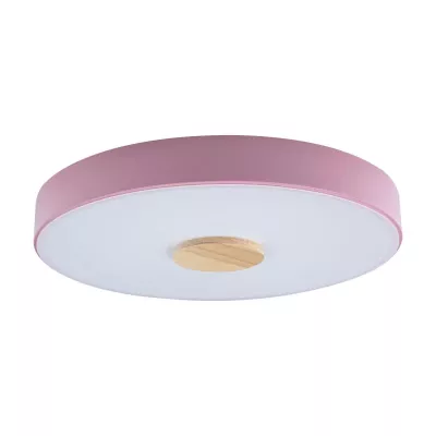 Потолочный светильник Loft IT AXEL 10003/24 Pink