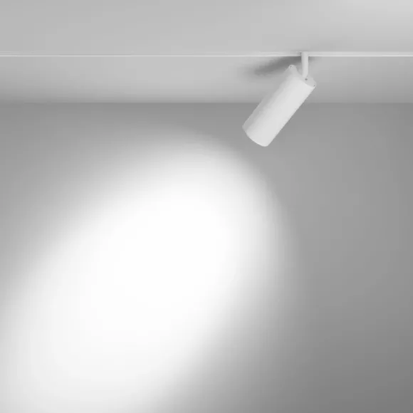 Трековый магнитный светильник Maytoni Focus LED TR032-4-20WTW-M-DD2-W, вид снизу