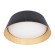 Потолочный светильник Loft IT Evans 10224 Black