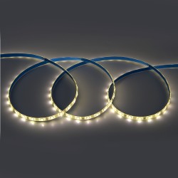 Светодиодная лента General GLS-5050-60-14.4-24-IP65-4 503312