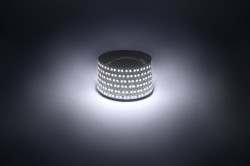 Светодиодная лента Эра 12В 2835 14,4Вт/м 6500K 5м IP20 LS2835-14,4-180-12-6500K-IP20-1 year-5m Б0059905