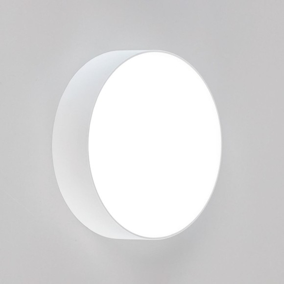 Накладной светодиодный светильник Citilux Тао CL712120N