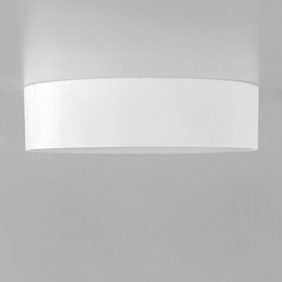 Накладной светодиодный светильник Citilux Тао CL712120N