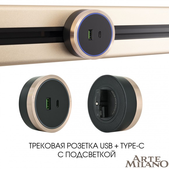 Трековая розетка Arte Milano Am-track-sockets 380066TS LED/USB-Type-C Gold