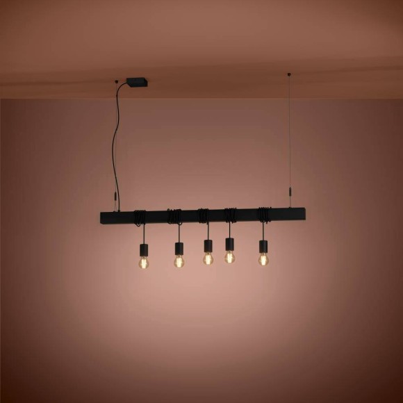 Подвесная люстра Eglo Townshend-B 39937