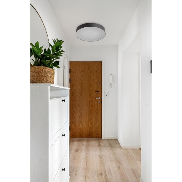 Настенно-потолочный светильник Sonex Basica Optima 7780/EL