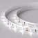 Светодиодная лента герметичная Arlight RTW-SE-A60-8mm 12V White6000 (4.8 W/m, IP65, 2835, 5m) 014627(2)