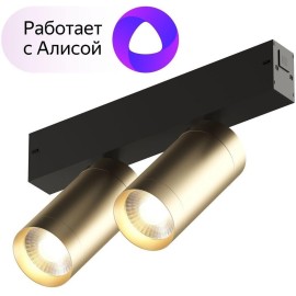 Трековый светильник Denkirs Smart DK8012-BG