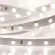 Светодиодная лента Arlight RT 2-5000 24V Day4000 (2835, 300 LED, PRO) 020012(B)