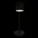 Настольная лампа Loft IT Tango 10144 Black, Черный, Металл, Современный стиль, основание крупным планом