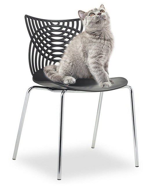 Стул Cat BDX_FR0830