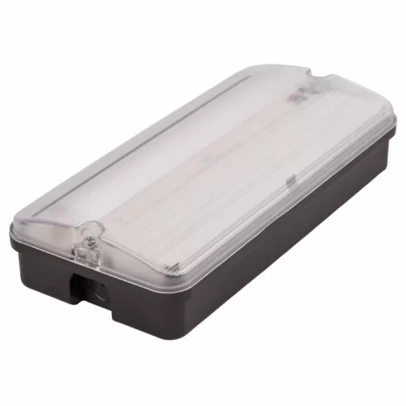 Светильник светодиодный влагозащищенный с БАП Uniel ULW-K25B 6W/4000K/EMG IP65 BLACK UL-00013353 Светильник светодиодный влагозащищенный с БАП Uniel ULW-K25B 6W/4000K/EMG IP65 BLACK UL-00013353