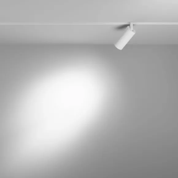 Трековый магнитный светильник Maytoni Focus LED TR032-4-5WTW-M-DD2-W, 2700, 6000, От теплого до холодного Трековый магнитный светильник Maytoni Focus LED TR032-4-5WTW-M-DD2-W, 2700, 6000, От теплого до холодного