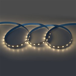 Светодиодная лента General GLS-5050-60-14.4-24-IP20-PRM-3 502343