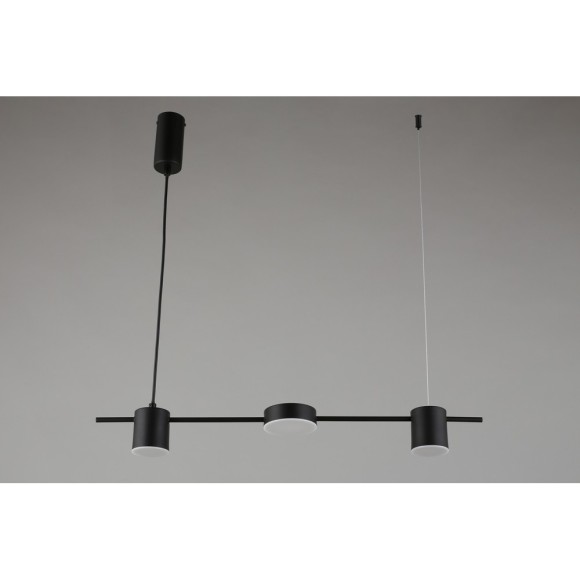 Подвесной светильник Aployt Frania APL.017.03.18