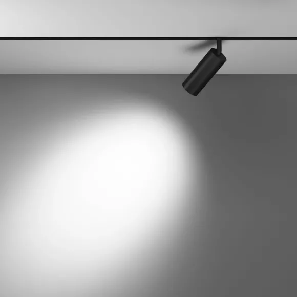Трековый магнитный светильник Maytoni Focus LED TR032-4-12WTW-S-DD-B Трековый магнитный светильник Maytoni Focus LED TR032-4-12WTW-S-DD-B