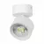 Накладной светильник Alta Pro Lightstar A5546SO