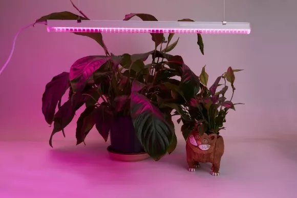 Светодиодный светильник для растений Feron AL7001 41352, Белый, RGB, Пластик, светодиодный модуль Светодиодный светильник для растений Feron AL7001 41352, Белый, RGB, Пластик, светодиодный модуль