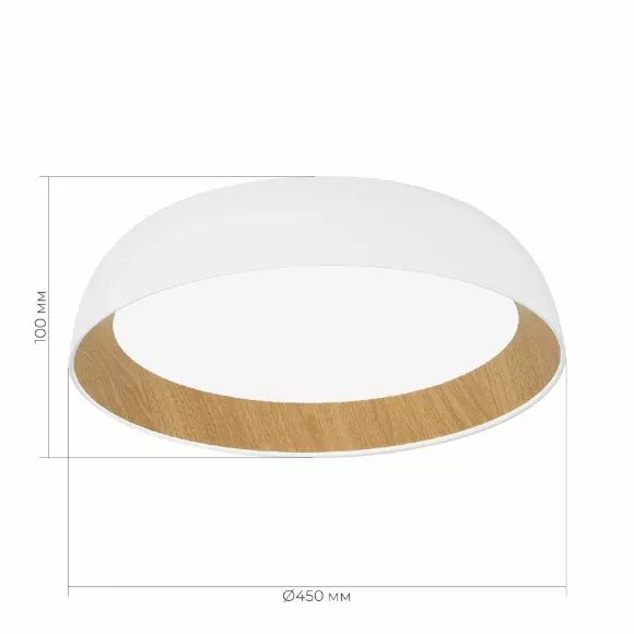 Потолочный светильник Evoluce Muse SLE1812-502-01 Потолочный светильник Evoluce Muse SLE1812-502-01