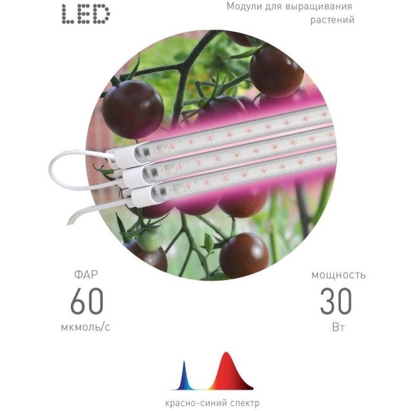 Светильник для растений Эра FITO-3х10W-LINE-RB90 Б0050924