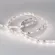 Светодиодная лента Arlight RT-A60-8mm 12V Day4000 CRI98 (7.2 W/m, IP20, 2835, 5m) 021405(2)