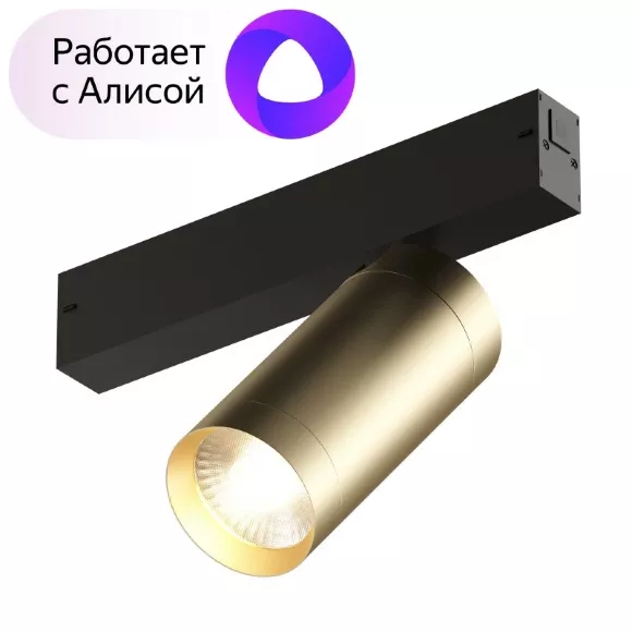 Трековый светильник Denkirs Smart Spot DK8020-BG Трековый светильник Denkirs Smart Spot DK8020-BG