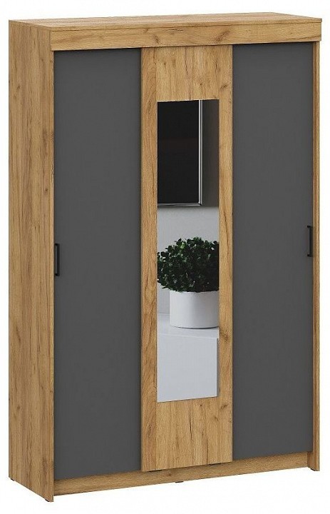 Шкаф-купе Вена ARN_00-00164543